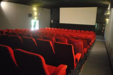 Cinéma le 7e art
