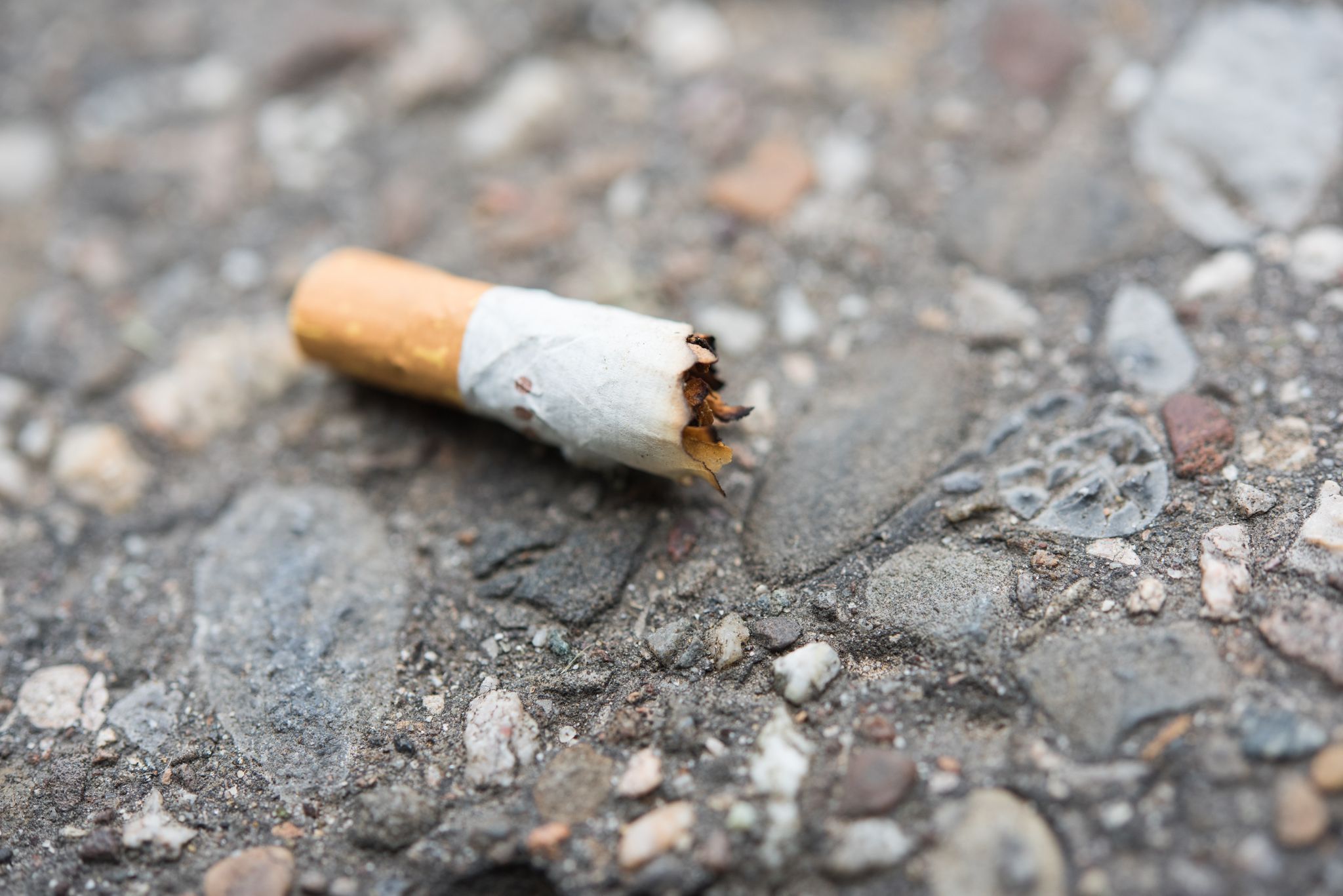 mégot de cigarette Je mets mes mégots à la poubelle